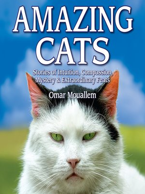 cover image of Amazing Cats